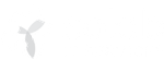 Solab Logo