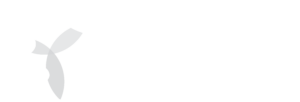 Solab Case Study Logo