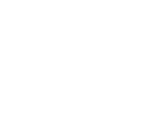 GSS Logo White